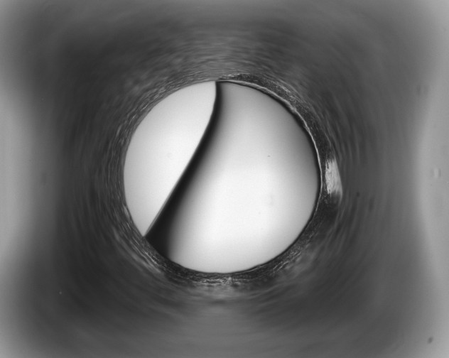 X0000087601444200704271035