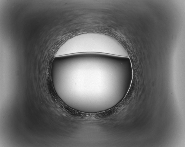 X0000087601445200704271035
