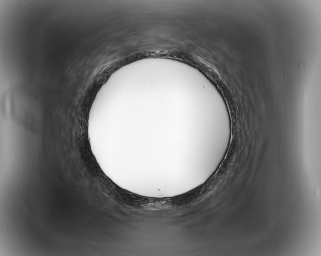 X0000087601447200704271035