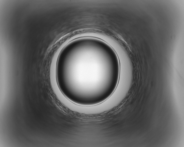 X0000087601448200704271035