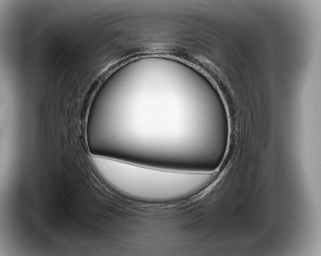 X0000087601449200704271035