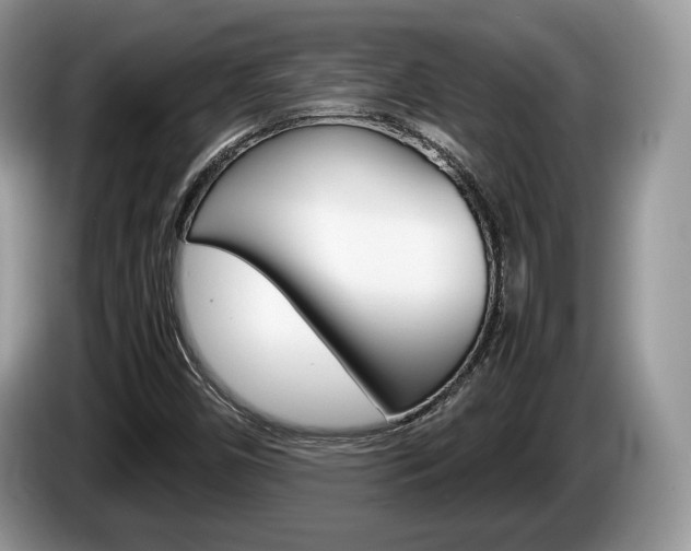 X0000087601450200704271035
