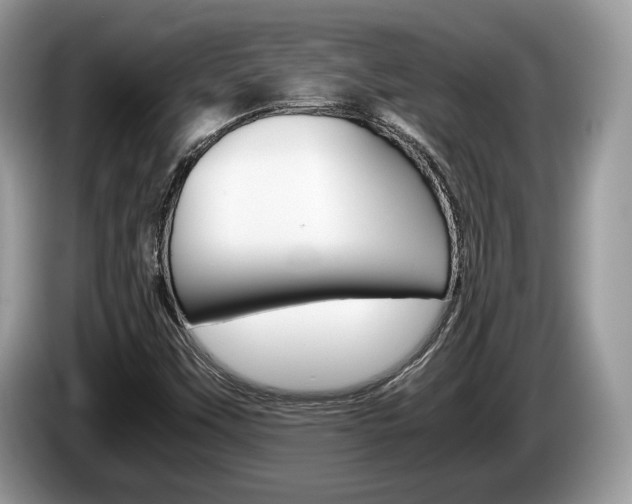 X0000087601451200704271035