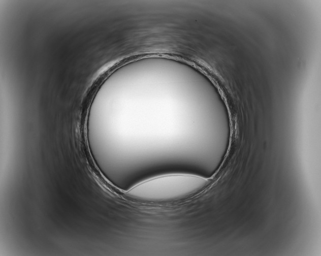 X0000087601452200704271035