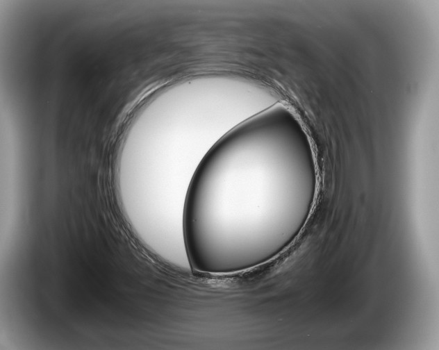 X0000087601453200704271034