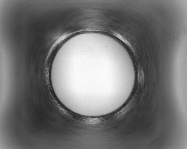 X0000087601454200704271034