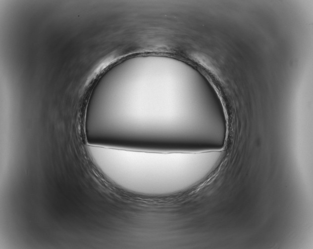 X0000087601455200704271034