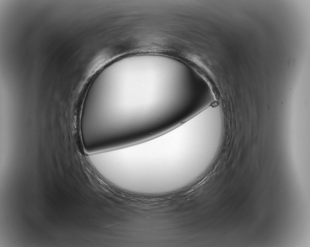 X0000087601459200704271034