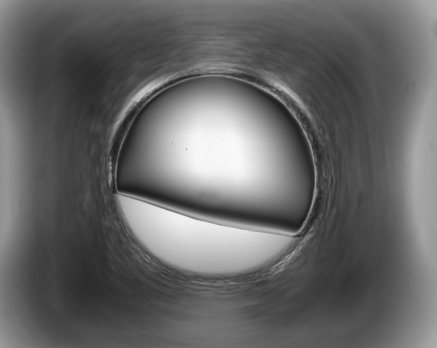 X0000087601461200704271034