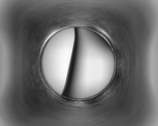 X0000087601463200704271034