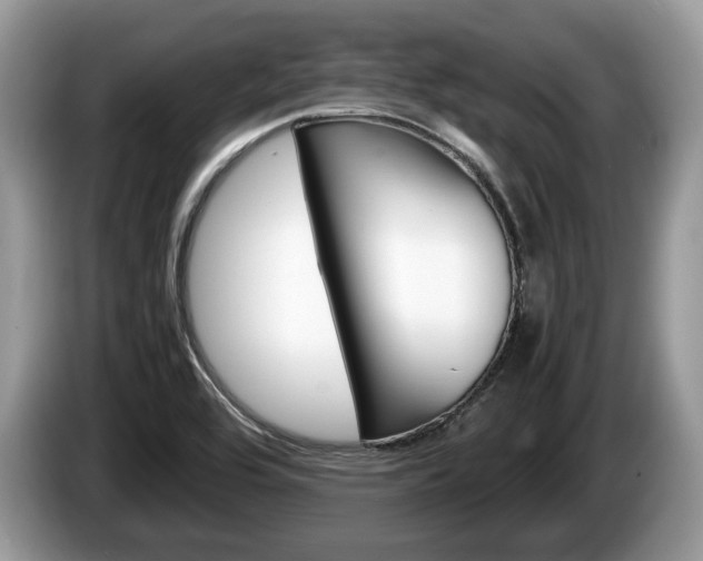 X0000087601464200704271034