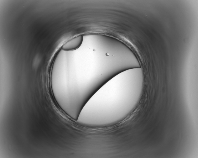 X0000087601467200704271034