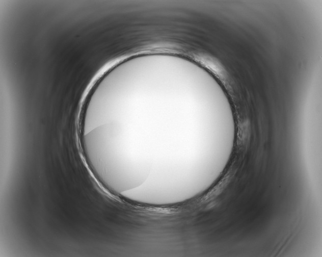 X0000087601470200704271034