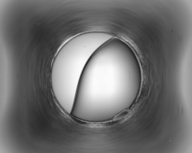 X0000087601473200704271034