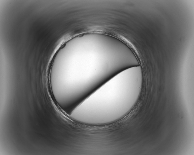 X0000087601475200704271034