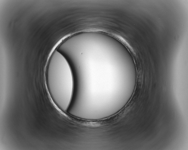 X0000087601476200704271034