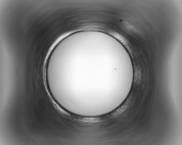 X0000087601478200704271034