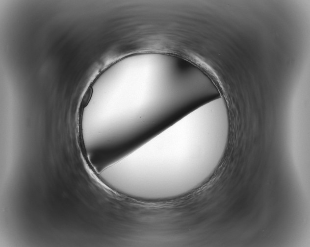 X0000087601479200704271034