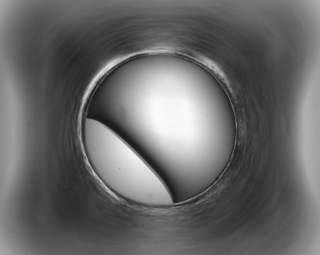 X0000087601480200704271034