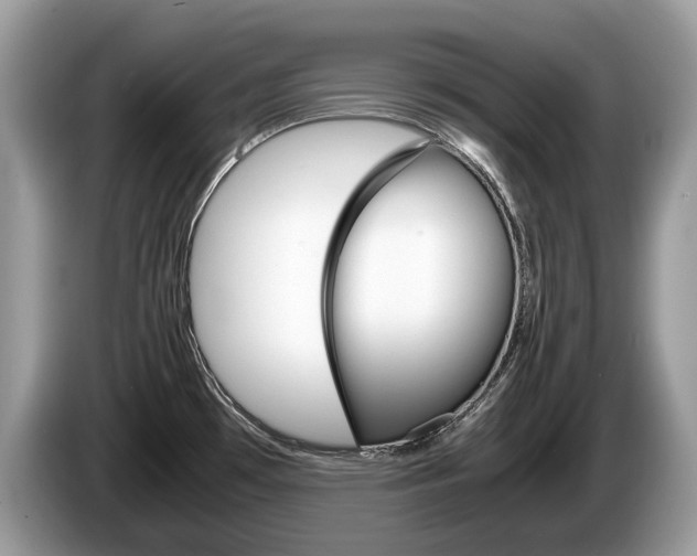 X0000087601481200704271034