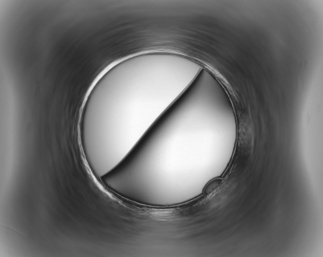 X0000087601484200704271034