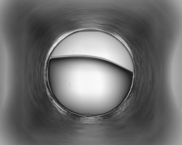 X0000087601485200704271034