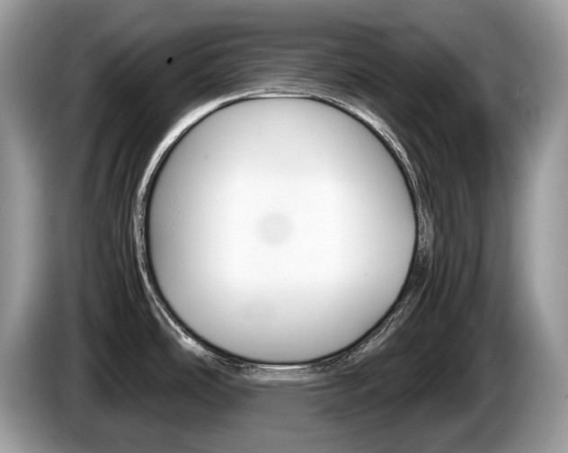 X0000087601486200704271034