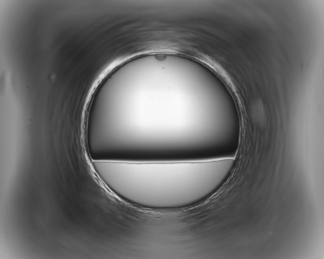 X0000087601488200704271034