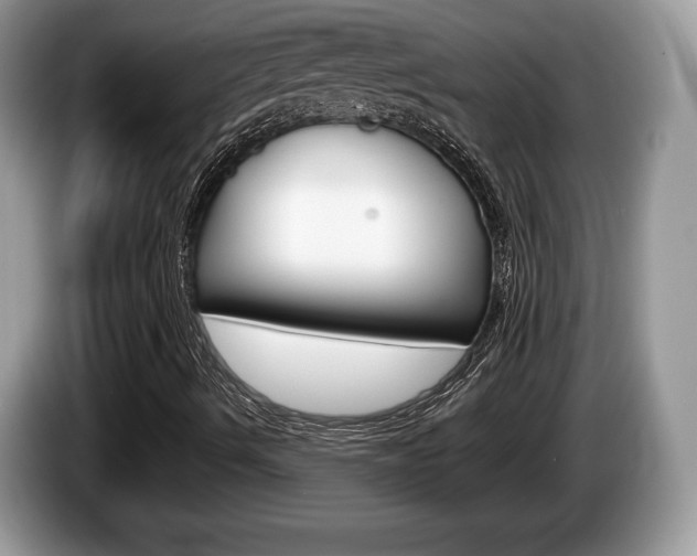 X0000087601490200704271034