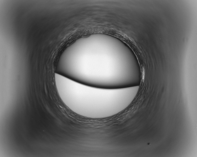 X0000087601492200704271034