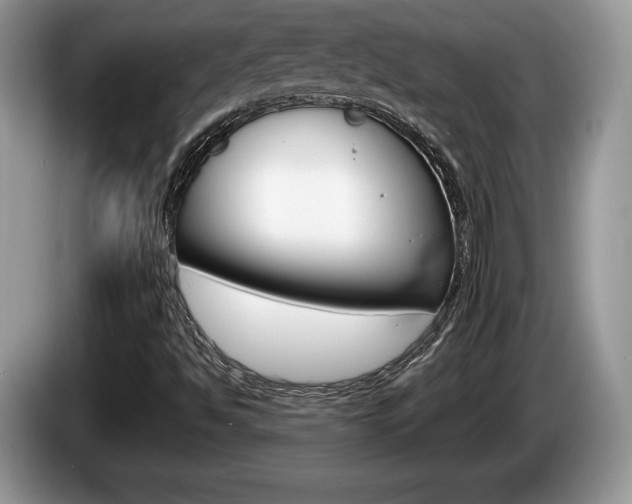 X0000087601494200704271034