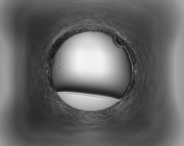X0000087601495200704271034