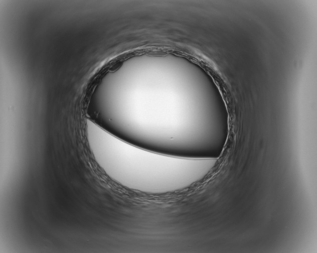X0000087601496200704271034