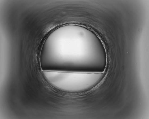 X0000087601497200704271034