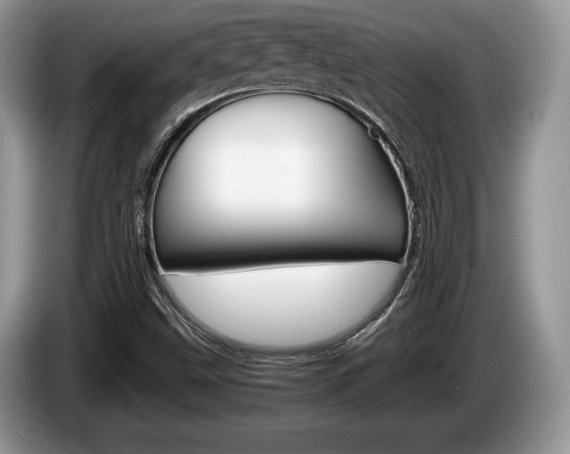 X0000087601499200704271034