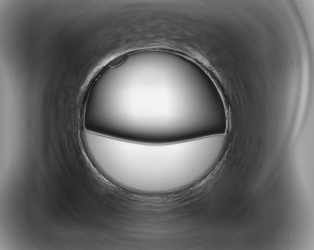 X0000087601500200704271034