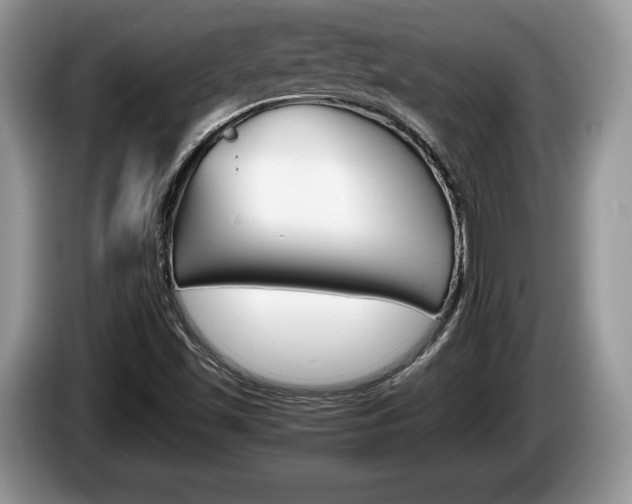 X0000087601501200704271034