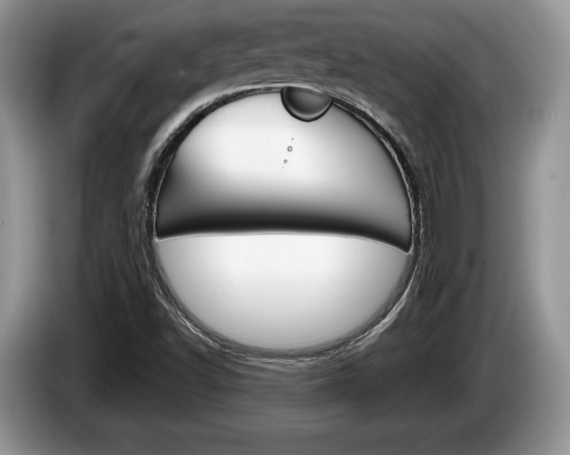 X0000087601502200704271034