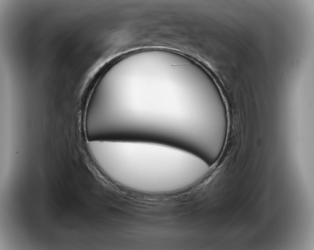 X0000087601503200704271034