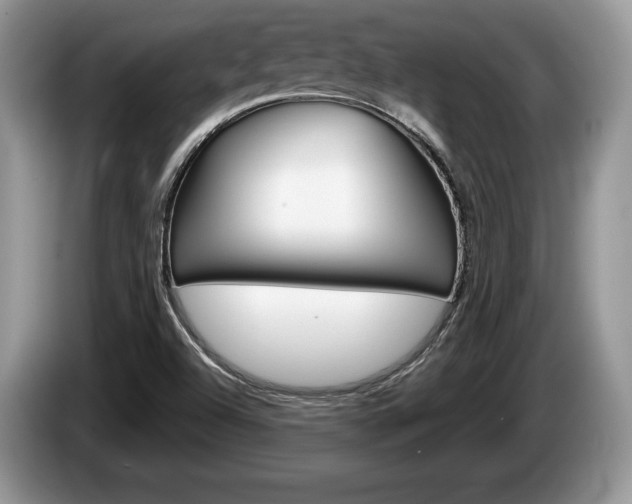 X0000087601504200704271034