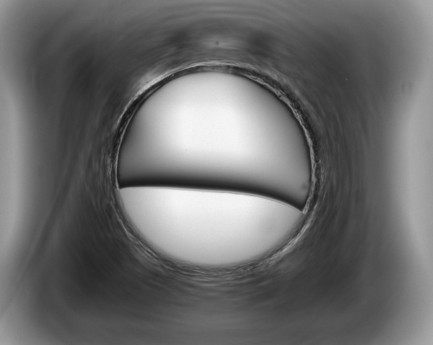 X0000087601505200704271034