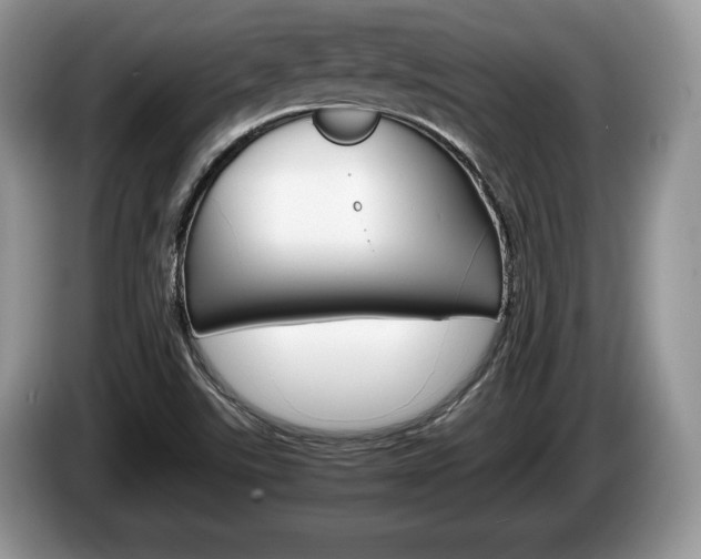 X0000087601507200704271034