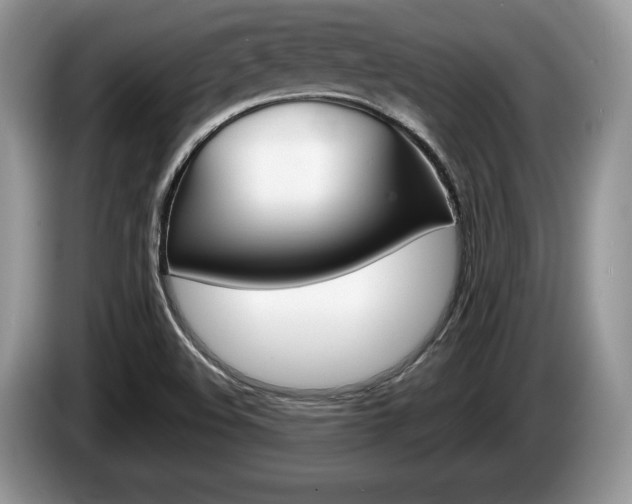 X0000087601508200704271034