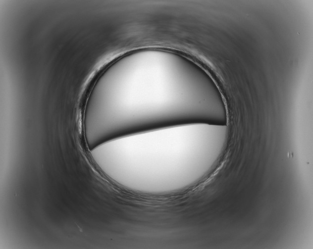 X0000087601509200704271034