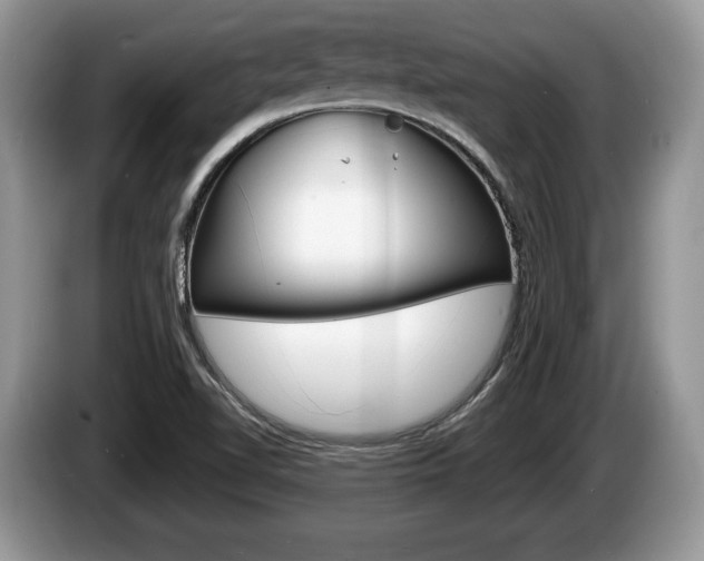 X0000087601510200704271034