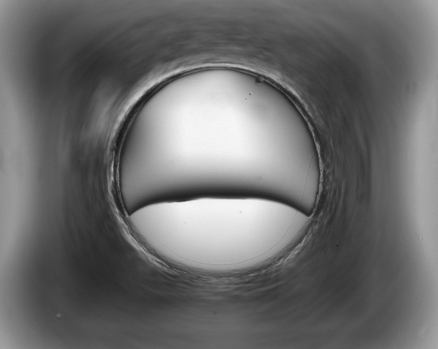 X0000087601511200704271034