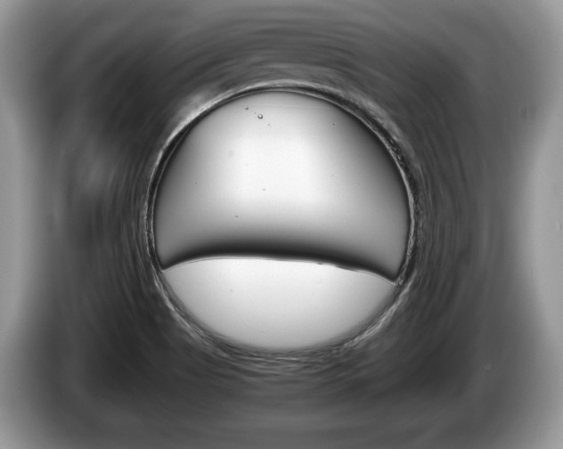 X0000087601513200704271034