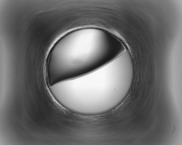 X0000087601516200704271034