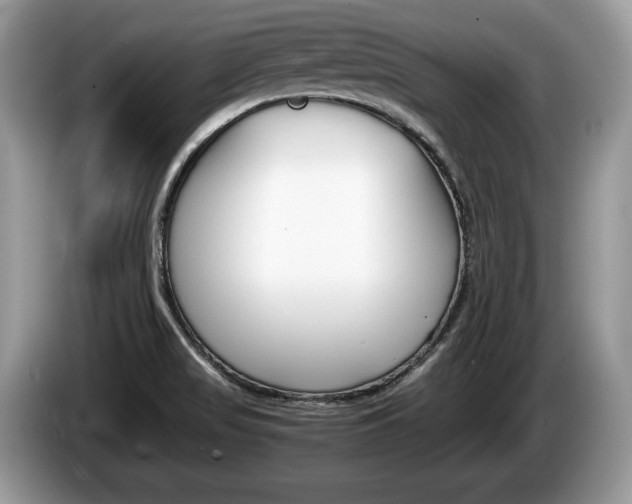 X0000087601517200704271034