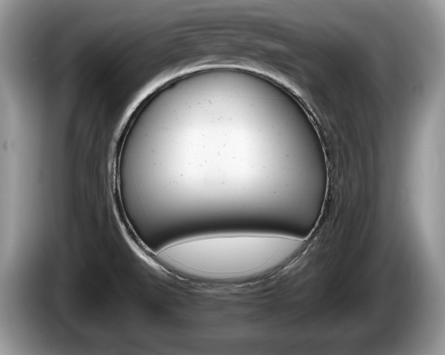 X0000087601519200704271034
